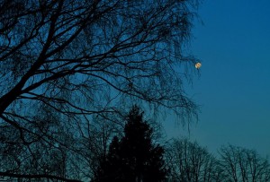 10885482_422351817920006_3092870469570969739_n